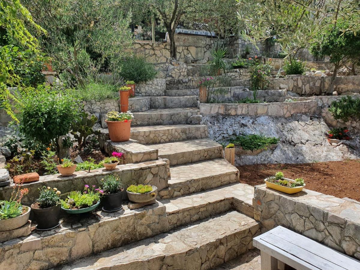 דירות טרפאניי Petar מראה חיצוני תמונה